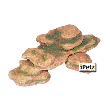 Petsleisure Reptile & Amphibian Habitat Accessories